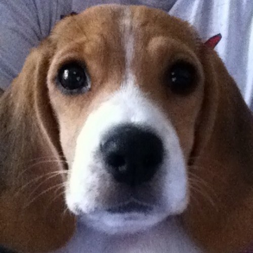 ChristianRennar's profile picture. 