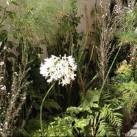 karen romano (@srajardines) 's Twitter Profile