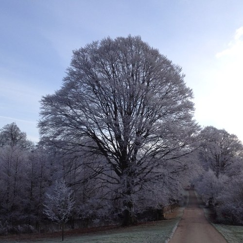 godfrpau's profile picture. 