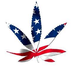 California Cali Grower