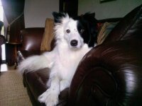 justingoodmansa's profile picture. Estate agent, animal and Greek food  lover, live in Cape Town , South Africa