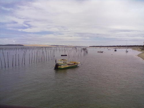 khoolia33's profile picture. 