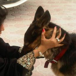 Ra8ya44's profile picture. لن تعوود الاياام וلجميلہہَ ولگگگن اتممنئ ان تااتي اياام #اجمل. ♫♡