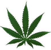 HempStyles's profile picture. Hemp - Discover the Many Uses of the Miracle Plant HEMP! Visit Hemp Styles Website at http://t.co/o6mJduAh!