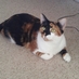Nicky (@bubblesnix) Twitter profile photo Nicky (@bubblesnix) Twitter profile photo