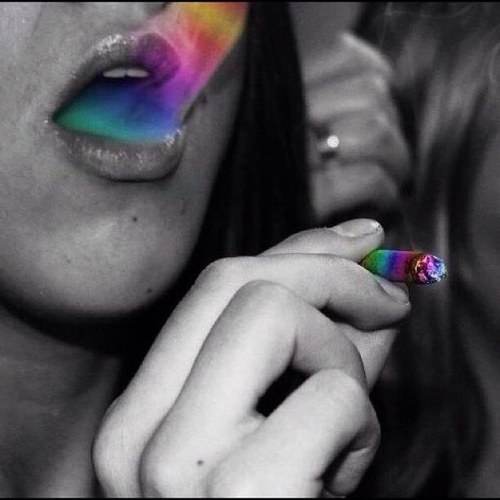 BQueen_Bitch's profile picture. #student #server #liberal #anon