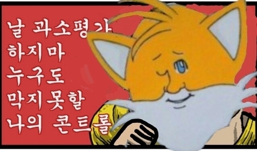 소닉 테일즈 호구계정이다 캐붕은 물론이고 언팔대신 블락 해줘 왠만하면