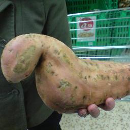 RayShinkins's profile picture. Father, husband, baller, cyclist, optimist, landlord to Frank the cat - fluent in penguinese