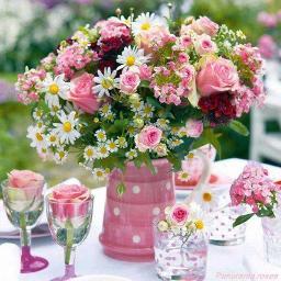 alalak_asad Profile Picture