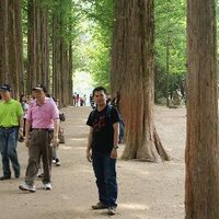 Pron Ardianto (@zidanepron) 's Twitter Profile