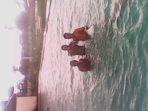 Sum says am romantic but i am sweet and cool,love jokes,sport,music and my dear one's,dats u....