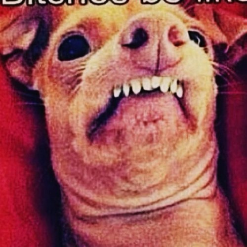 JohnSullyman's profile picture. 🇺🇸🇮🇪