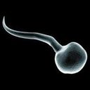 Paul Antrobus - @ChelseaPaul69 - Twitter