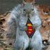 squirrel (@tzoansquirrel) Twitter profile photo
