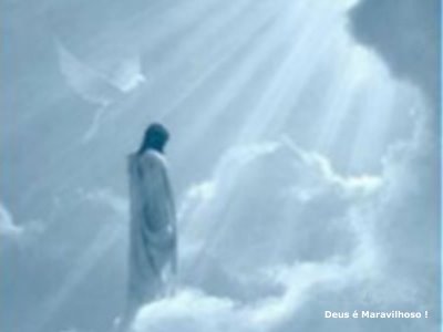 jesuslhediz's profile picture. 