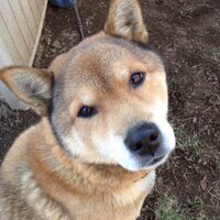 サンデーラブ (@sunday4394) 's Twitter Profile