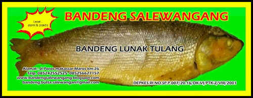 menyediakan berbagai jenis olahan bandeng seperti bandeng presto, bandeng tanpa duri, abon bandeng dll..phone +6285242552525pin BB 29EB2A29
