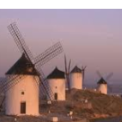 Luchando por sobrevivir, en Castilla La Mancha