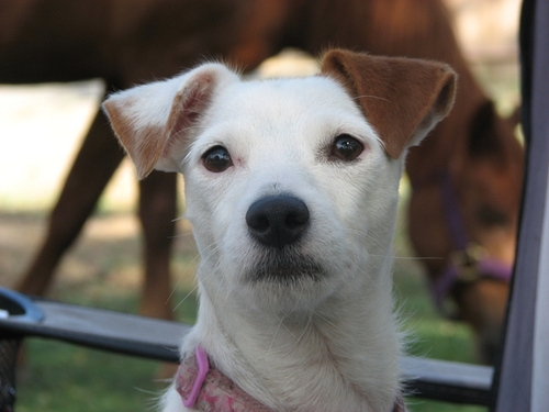 samsahm1's profile picture. 