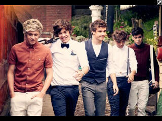 Hi! I'm directioner:).             PhenomaNIALL | amaZAYN | brilLIAM| extraordinHARRY | fabuLOUIS |singer and dancer| i hope i can will   meet&greet with 1D|0.o