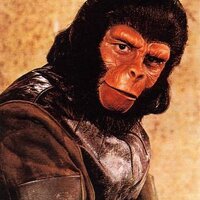 7apes (@7apes) 's Twitter Profile