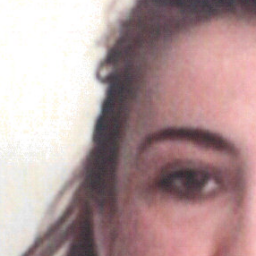 tomproueirini's profile picture. techie, economist, translator