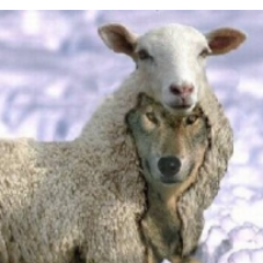 ronvanput's profile picture. Wat je ziet is niet wat je krijgt. Politiek onafhankelijk.