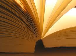 the world of literature | editor | supports diversity in languages | linguistics | cultural projects | European | native tongue: german
