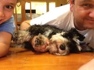 aviodeldot's profile picture. 