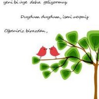 Behiye OKUR (@everyican) Twitter profile photo