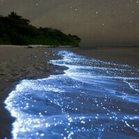 Sara Alabdulaziz (@sara9097) Twitter profile photo