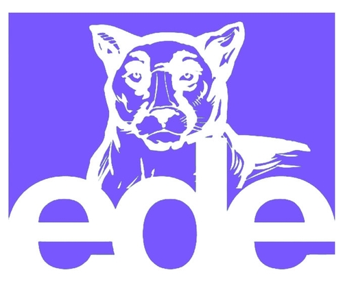 13 jonge ambtenaren - Ede