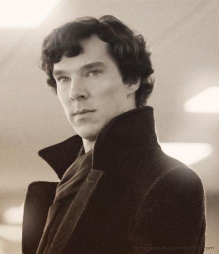 LOVESHERLOCK's profile picture. SHERLOCKED TOTAL. 221B