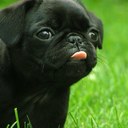 jackie driver - @jackiedriver1 - Twitter