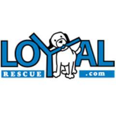 LOYAL Rescue Inc. is a foster-based, all-breed dog rescue based in Ontario, Canada. 

You can reach us via e-mail at info@loyalrescue.com.

Happy adopting!