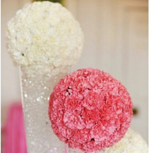 springsound1's profile picture. 