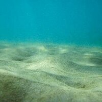 Deep-Sea Mining (@deepseamining) 's Twitter Profile