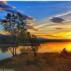 phitiadelfos's profile picture. 