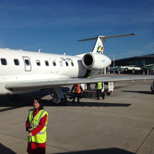 dmkuznetsov's profile picture. бизнес авиация, политология