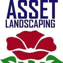 AssetLandscape's profile picture. 