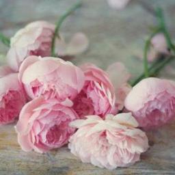 Amoureuse de la vie, de la magie du coeur, et des potentialités de l'âme...