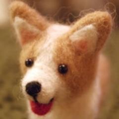 写真と本とかわいいものが好き。鉄分少し。興味の赴くままに節操無くフォローします。イケメン戦国始めましたよキャー(*'ω'*) 緑間くんLOVE (*'ω'*)