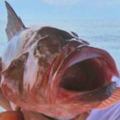 WarriorRoadtrip's profile picture. The Warriors Roadtrip Network Foundation (WRTN) focuses on programs that provide therapeutic serenity for Veterans, First Responders and Children.