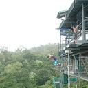 Stephen Thurgood - @stevet10 - Twitter