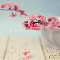 Sella_0221's profile picture. 좋은글/감성글/미스테리/친목/