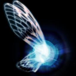 Connected and recieving transmissions
