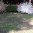 Matilde Ramírez - @mata_ramrez - Twitter