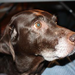 GeneralTrots's profile picture. 