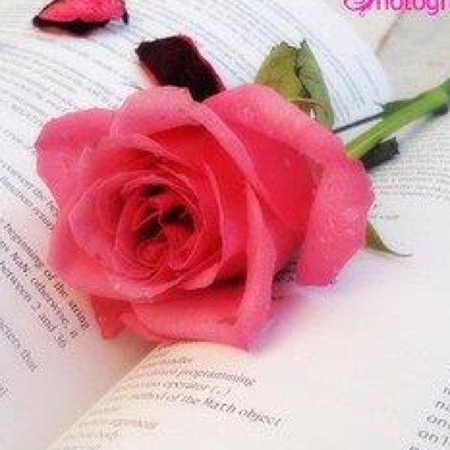 AlKandriENG's profile picture. عيشها و توكل عاللي خلقها :)