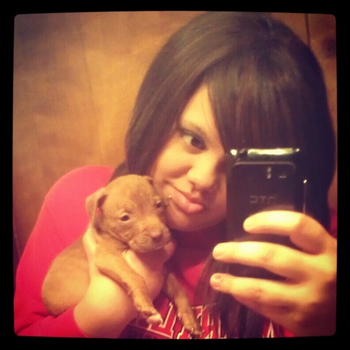 BossLadyDimples's profile picture. If u don't like what i tweet there's an unfollow button#teamfollowback .But follow the best @silly_cupcake23, & the sister @wifey_type97